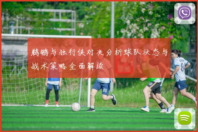 鹈鹕与独行侠对决分析球队状态与战术策略全面解读