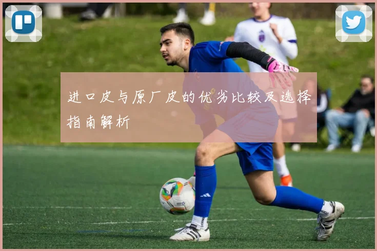 进口皮与原厂皮的优劣比较及选择指南解析