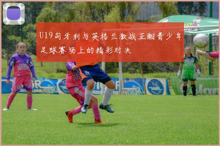U19匈牙利与英格兰激战正酣青少年足球赛场上的精彩对决