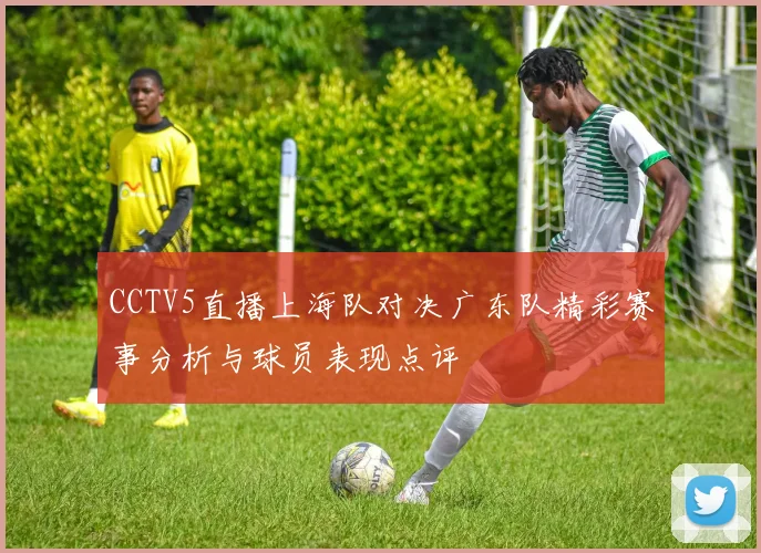 CCTV5直播上海队对决广东队精彩赛事分析与球员表现点评