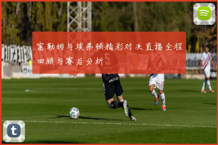 富勒姆与埃弗顿精彩对决直播全程回顾与赛后分析