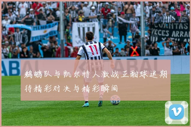 鹈鹕队与凯尔特人激战正酣球迷期待精彩对决与精彩瞬间